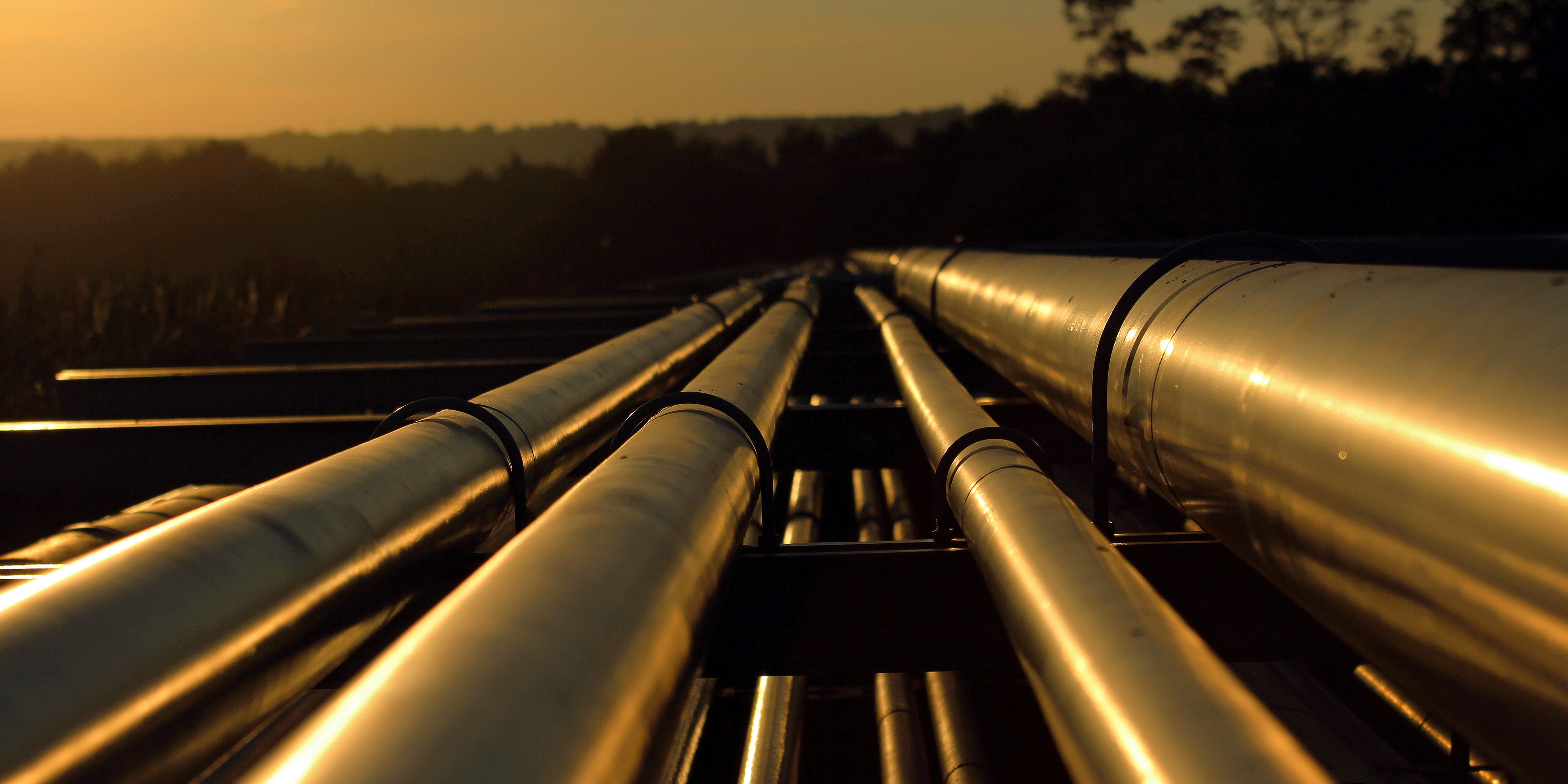 PM Excellence and Gazprom-Digital Design Services continue cooperation