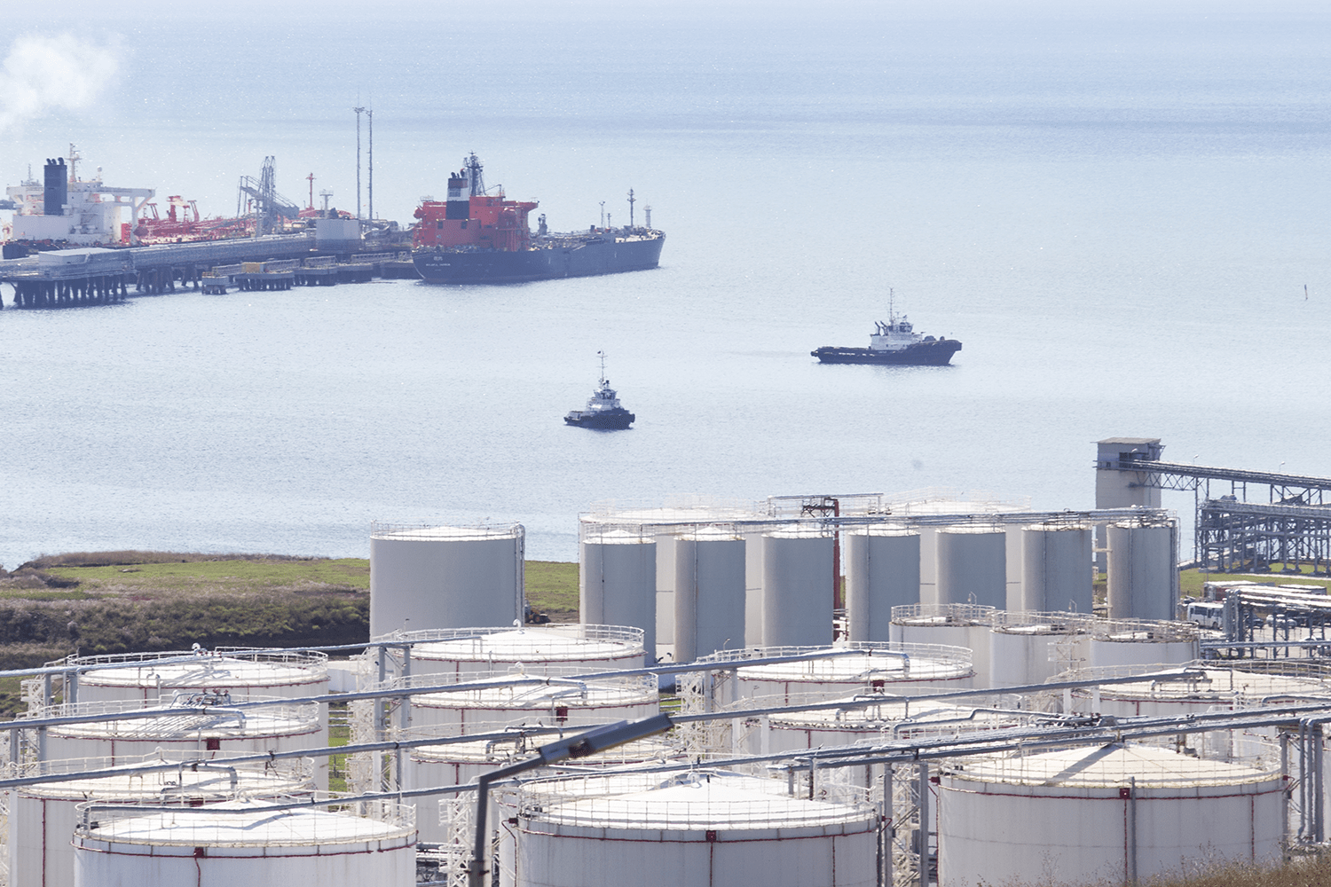 PM Excellence has completed the implementation and configuration of a comprehensive information system for managing large-scale projects of the OTEKO company